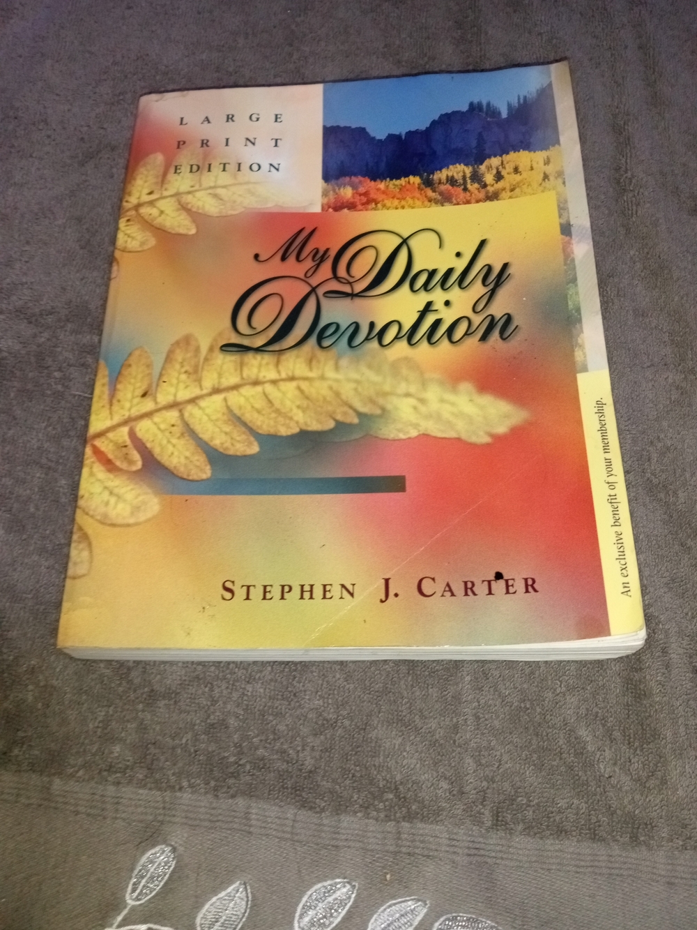 My Daily Devotion by - Yellow & Multicolor Cover